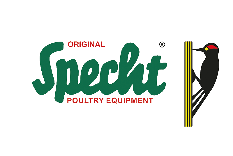 Specht